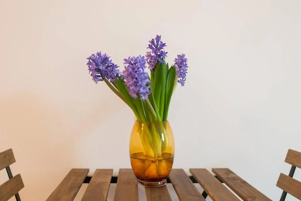 Charming Apartment In City Center Amsterdam 0*,  Niederlande